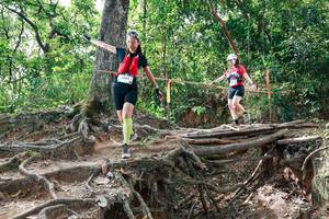 BIB: 
                            <button type="button" onclick="openModal(27718270)" class="btn btn-primary btn-sm float-right btn-popup" data-toggle="modal" data-target=".modal-high-quality">
                        <i class="fas fa-shopping-cart"></i> Add to Cart
                    </button>
                                            <button type="button" onclick="isThisMe(27718270, true)" class="btn btn-success btn-sm float-right btn-popup btn-isme hidden" data-toggle="tooltip" data-placement="bottom" title="นี่คือรูปของคุณใช่ไหม คลิกที่นี่เพื่อเอาเข้าอัลบั้ม">
                        <i class="fas fa-plus"></i> Add to album
                    </button>
                    <button type="button" onclick="isThisMe(27718270, false)" class="btn btn-warning btn-sm float-right btn-popup btn-isnotme hidden">
                        <i class="fas fa-ban"></i> Remove from album
                    </button>